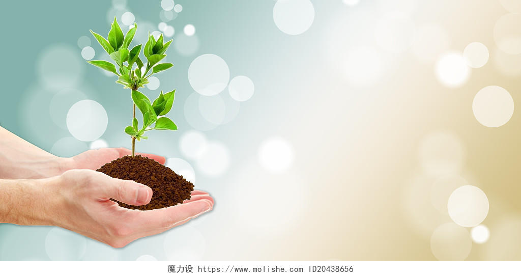 世界环境日绿色简约312植树节种树手捧树苗指数间展板背景